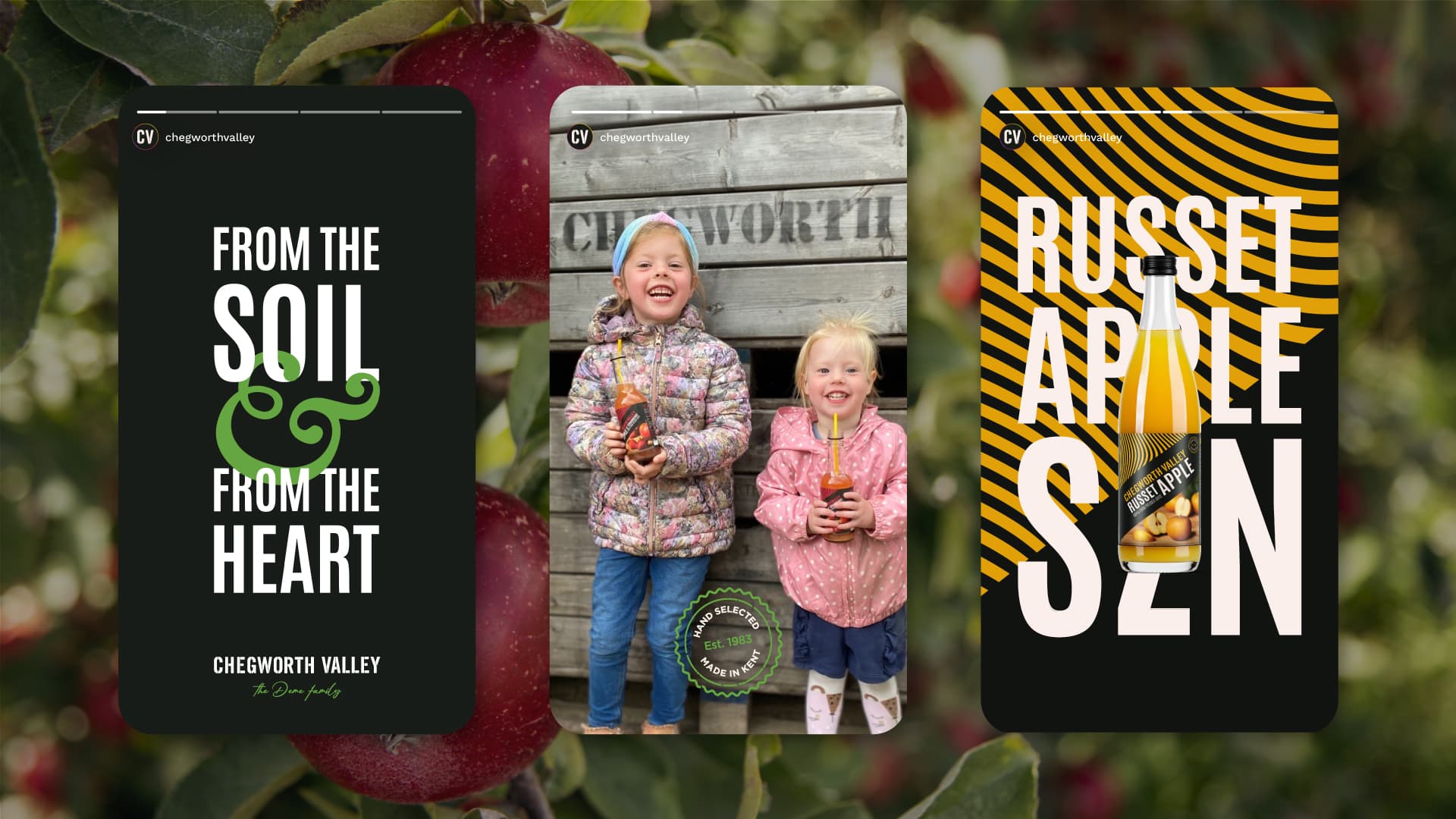 Chegworth Valley apple brand story for social media, featuring British apple juice, Russet apple juice bottle, and orchard-grown apples from Kent.