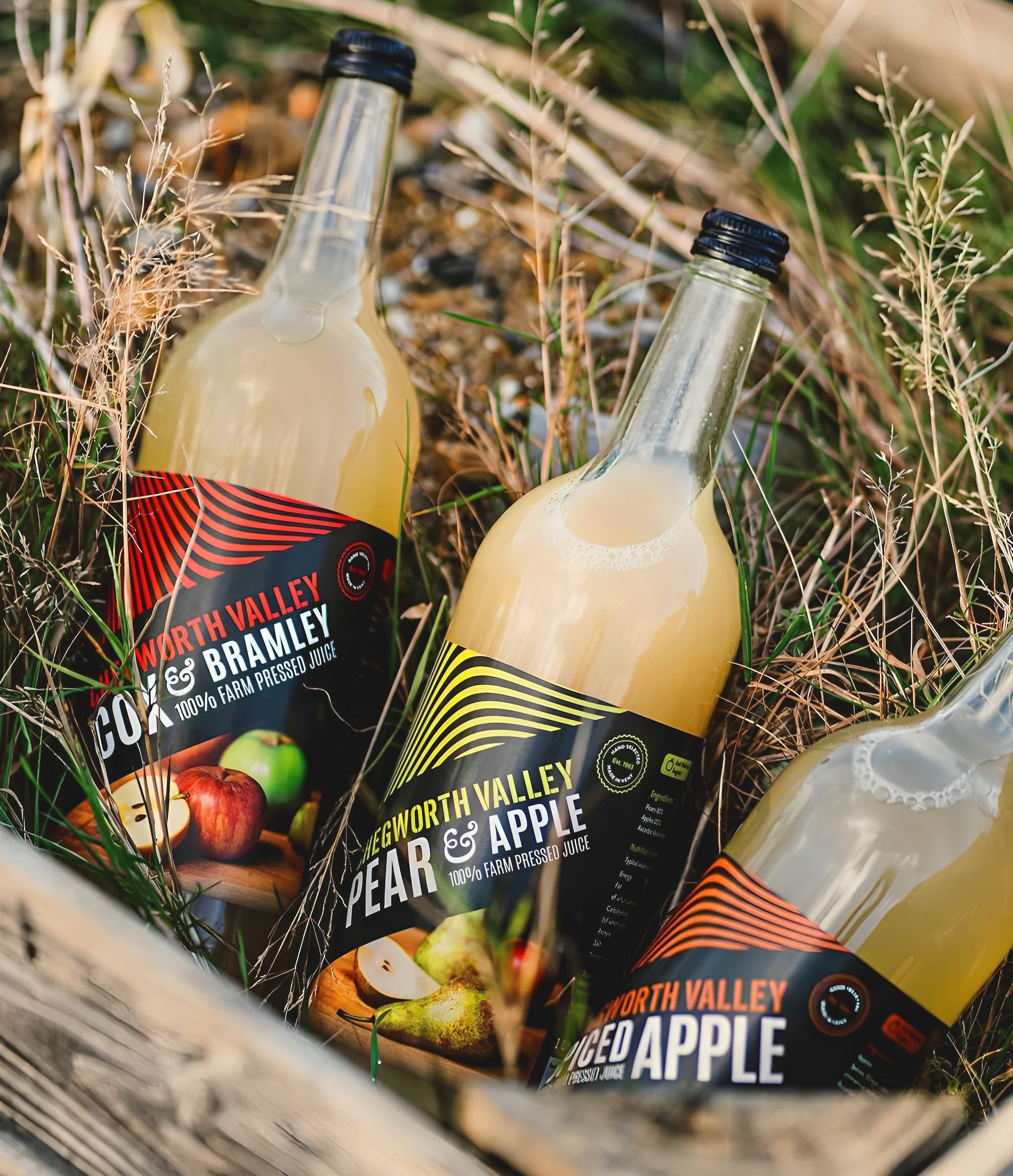 Chegworth Valley farm-pressed juice bottles resting in grass, featuring Cox & Bramley and Pear & Apple flavours with bold black labels.