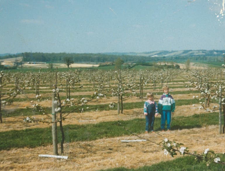 Vintage photograph of Chegworth Valley apple orchard, showing rows of blossoming apple trees across rolling countryside with two children standing in the field.