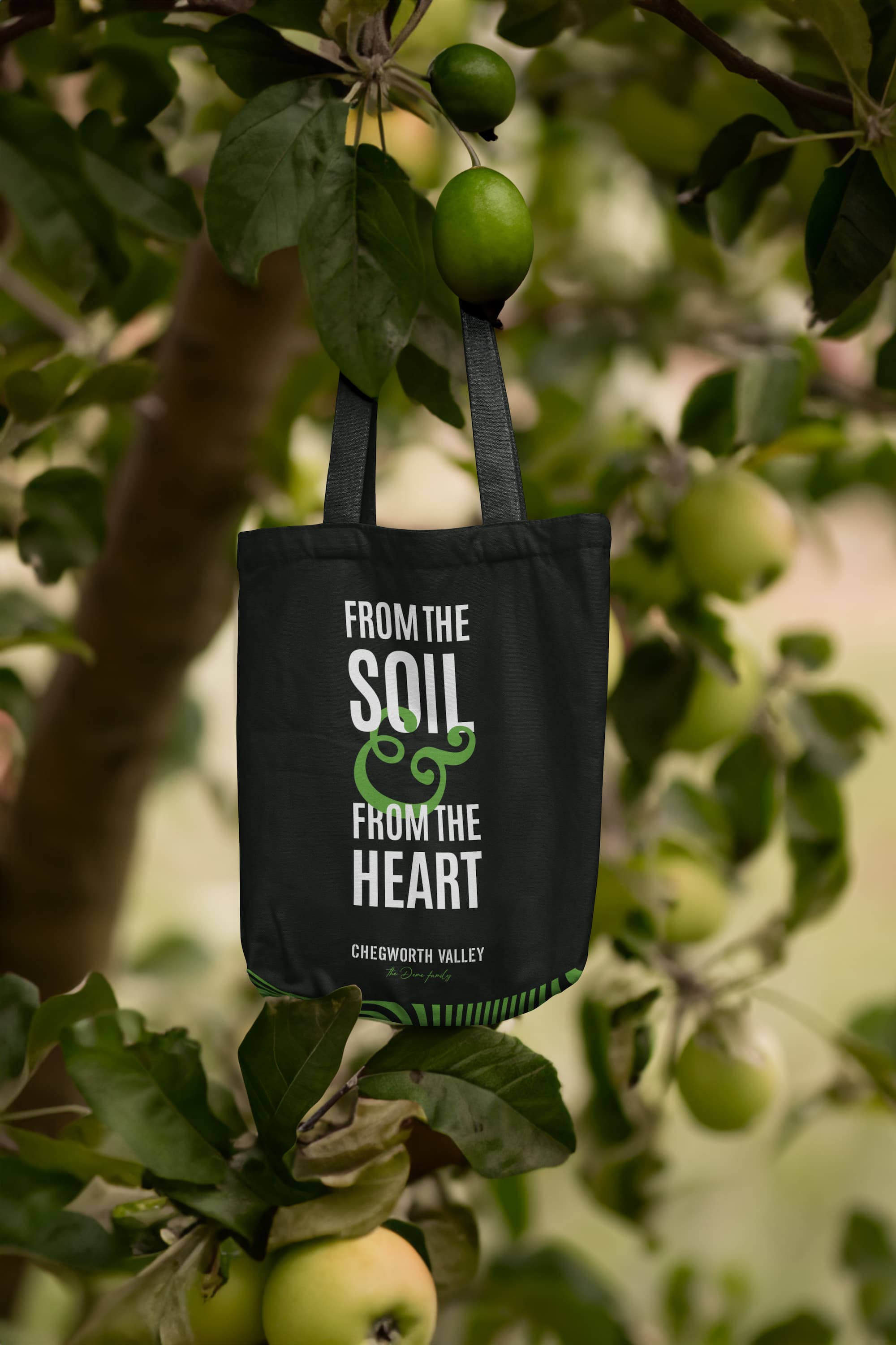 Chegworth Valley branded tote bag hanging in an apple tree, featuring the slogan “From the Soil & From the Heart” in a British apple orchard.
